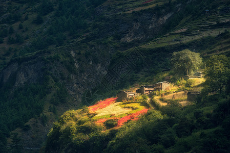 日出时,山上个令人惊奇的小村庄,被太阳光照亮童话场景与房屋,花园与花草树木,小径山与绿色森林尼泊尔乡村景色喜背景图片