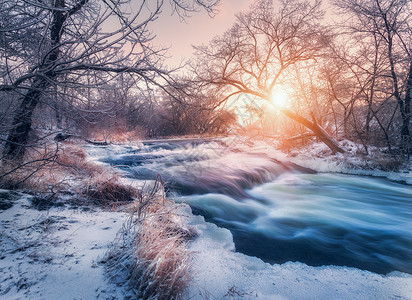 盖满日出灌木丛降雪高清图片