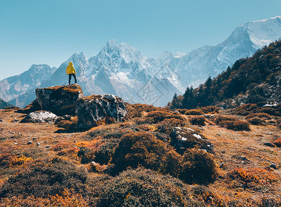 比利茨基高峰站石头上的人,日落时看着迷人的山脉风景与旅行者,高岩石与雪峰,草,树木秋天尼泊尔生活方式,旅行喜马拉雅山徒背景