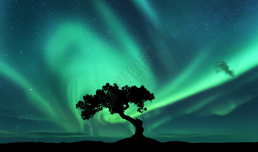 瑞典极光北极光山上棵树的轮廓极光绿色的北极光天空星星北极光夜间景观明亮的极光,树木,黑暗的天空自然背景背景