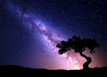 比利茨基增长的明亮的繁星高清图片