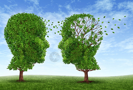 两棵树的形状表现阿尔茨海默病生活背景图片