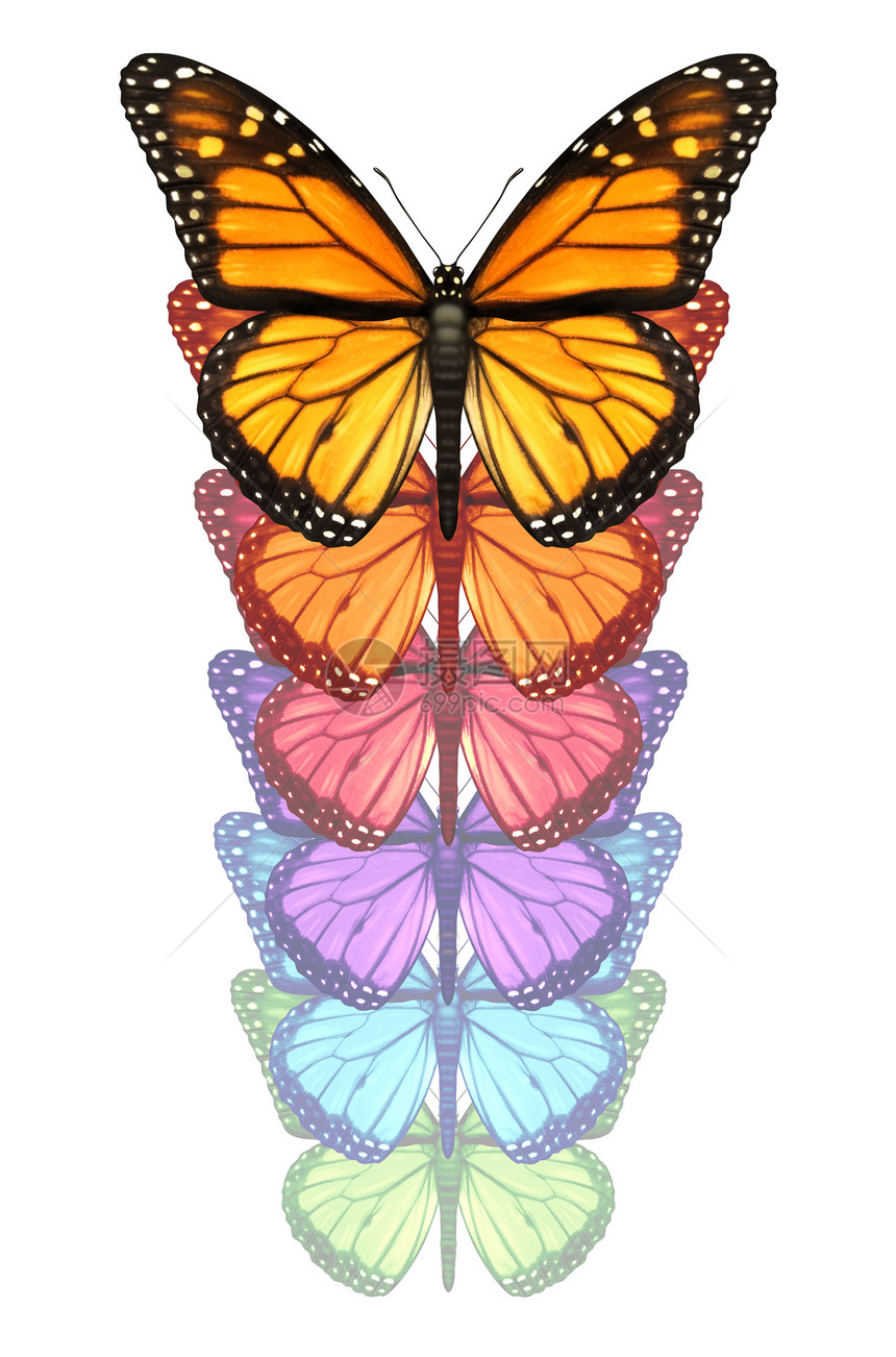 展开你的翅膀,逃避与君主蝴蝶向上飞行,改变经历个颜色的变,个自由的,创造力创新孤立白色的背景上图片