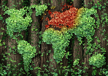 欧洲增长危机的,片高大的树木棵绿叶藤蔓,生长全球世界的形状上,欧洲地区秋季秋天的模式下,红色叶子经背景图片