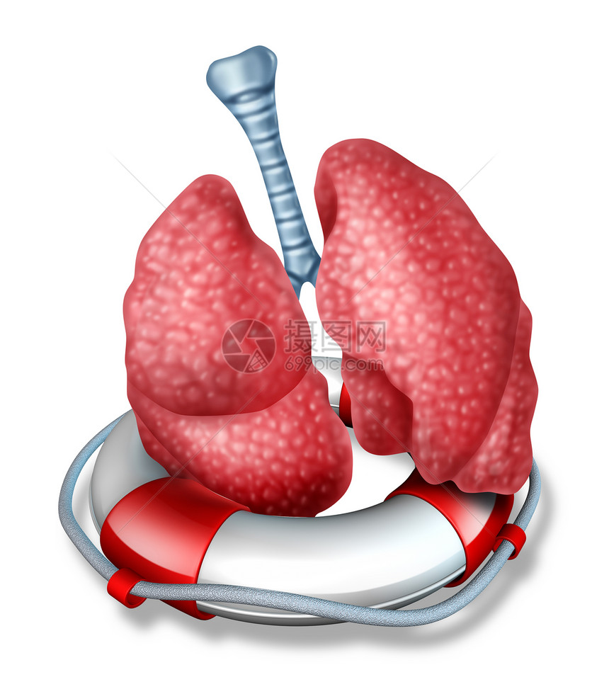 肺抢救医疗保健与人的肺器官漂浮救生器救生带,代表紧急医疗外科手术拯救身体的呼吸系统图片