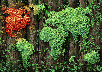 北美增长危机片高大的树木森林,绿叶藤蔓生长全球世界的形状上,加大美国墨西哥地区秋季的秋季模式下红色黄色背景图片