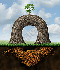 伙伴关系的权力商业理念与两棵树共同努力,创造个新的增长机会,以植物的根签署合同手的象征背景图片