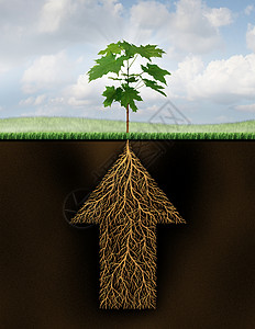 潜力与成功成功的根种增长的商业,棵新的发芽树地下的根涌现出来,它被塑造成支箭,未来投资潜力的金融象征背景