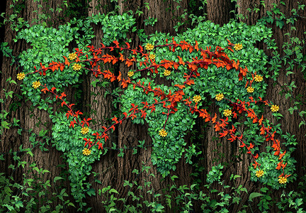 地球连接全球通信业务与红色藤蔓个连接的网络,生长绿色藤蔓上,形状为世界,附棵树林上图片