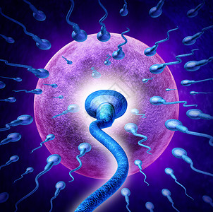 人类生育的,极端效地接近显微镜下的精子精子细胞,向雌卵细胞游泳,以受精创造怀孕医学繁殖的象征背景图片