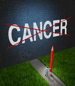 预防肿瘤与癌症作斗争治疗癌症的肿瘤保健符号,用医学隐喻的希望,医生医院的研究科学家着支红色的铅笔,把涂砖墙上的疾病词画出来背景