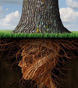 抽像场景扎根并扎根于商业医疗保健,地下树根以人头的形状生长,就像棵高大的树生长,健康保健财富增长成功的象征背景