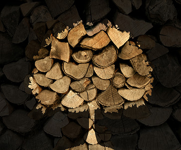 木材工业的与堆切碎的树木原木木柴的影子形状的树木符号,自然图标的林业环境保护问题背景图片