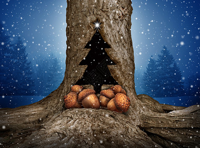 乡绅自然假日礼物捐赠的棵松树,常青树干上个洞,形状像诞树的图标,群橡子,代表礼物精神,如果慈善捐赠冬季庆背景