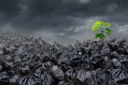 丘茨帕环境希望的,垃圾场堆放堆肮脏的垃圾,棵新的绿色树污染中生长出来,自然全球健康持续力量的隐喻背景