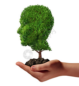 生命发展的用只手着棵绿色的树,形状被塑造成个人类的头部,保护环境培育隐喻自然象征背景图片