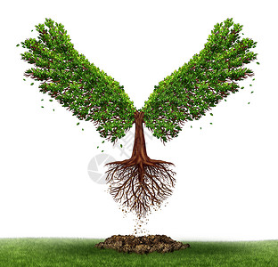 想象的翅膀自由的潜力决心的力量,个商业生活的,棵绿色的树,张开翅膀,飞向成功,个隐喻,断发展,寻找机会背景