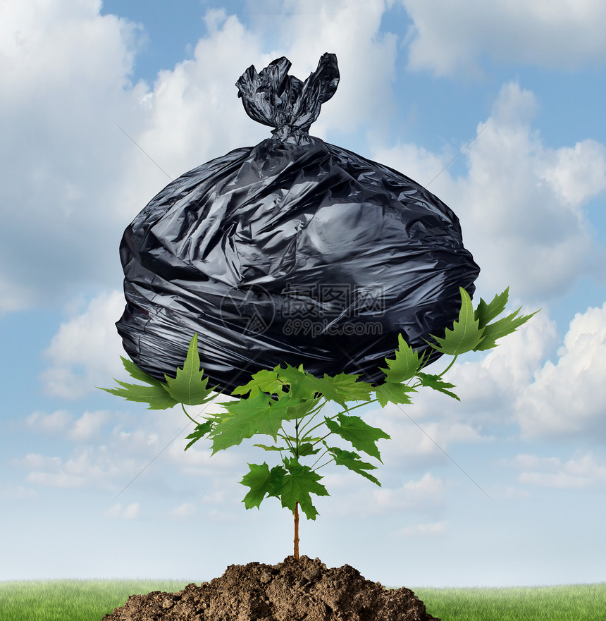 大自然环境的力量,个黑色的塑料垃圾袋被棵强大的绿色树苗举取代,以此比喻决心消除污染拯救环境图片