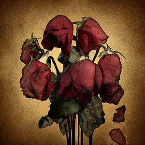 失的爱破碎的心的情感与枯萎的垂死的红玫瑰落旧羊皮纸上的花瓣,悲伤悲伤的象征,关系的失败浪漫的拒绝背景图片