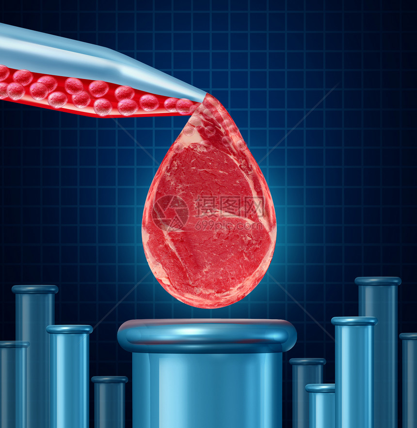 实验室种植的肉类实验室设备,vtro中培育动物来开发人造牛肉,而产生了未来食品工程技术标志的可食用的无残图片