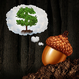 投资规划商业颗橡子种子,梦想未来的增长雄心,个美元标志,货币树个梦想泡沫中,个金融金融隐喻,长期投资背景