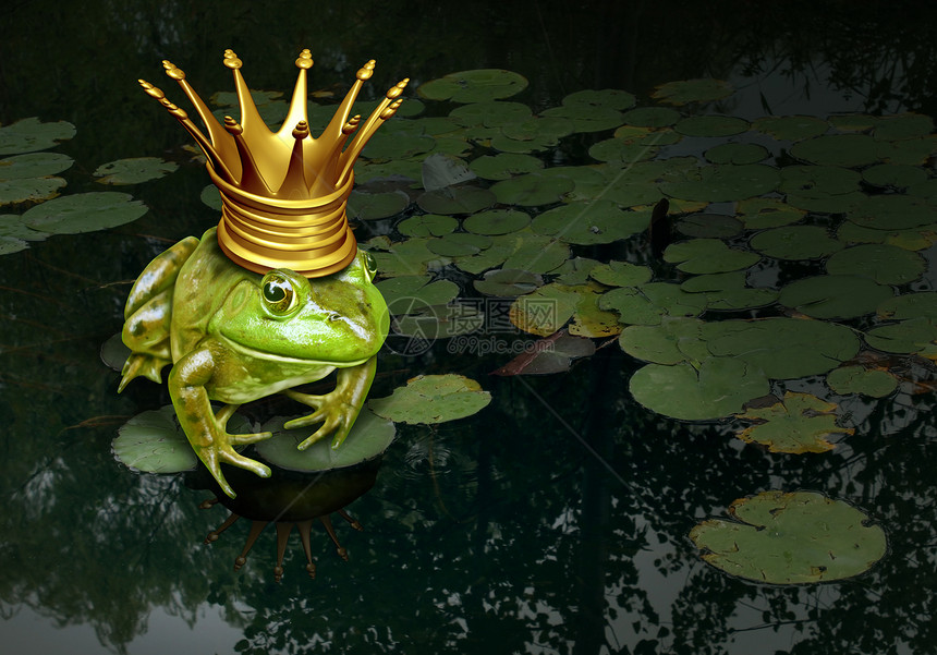 青蛙王子的与金冠代表童话的变化变,两栖动物皇室百合垫池塘的背景图片