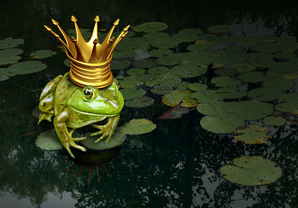 青蛙王子的与金冠代表童话的变化变,两栖动物皇室百合垫池塘的背景图片