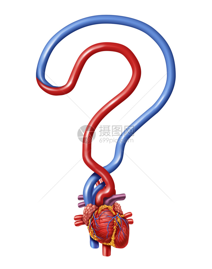 心脏问题人体解剖学,泵血形状为问号,健康信息的象征,并指导健康的身体白色背景下被隔离,内部心血管器官的医疗保健图标图片