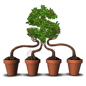 硕果累累的队投资集投资的商业理念四个种植花盆,树木生长成个美元货币符号的形状,队合作建立财富的金融隐喻设计图片
