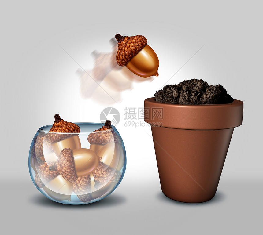 个人主义自由的个璃碗,群橡子种子,个种子跳出来,进入个花盆,肥沃的土壤生长的隐喻图片