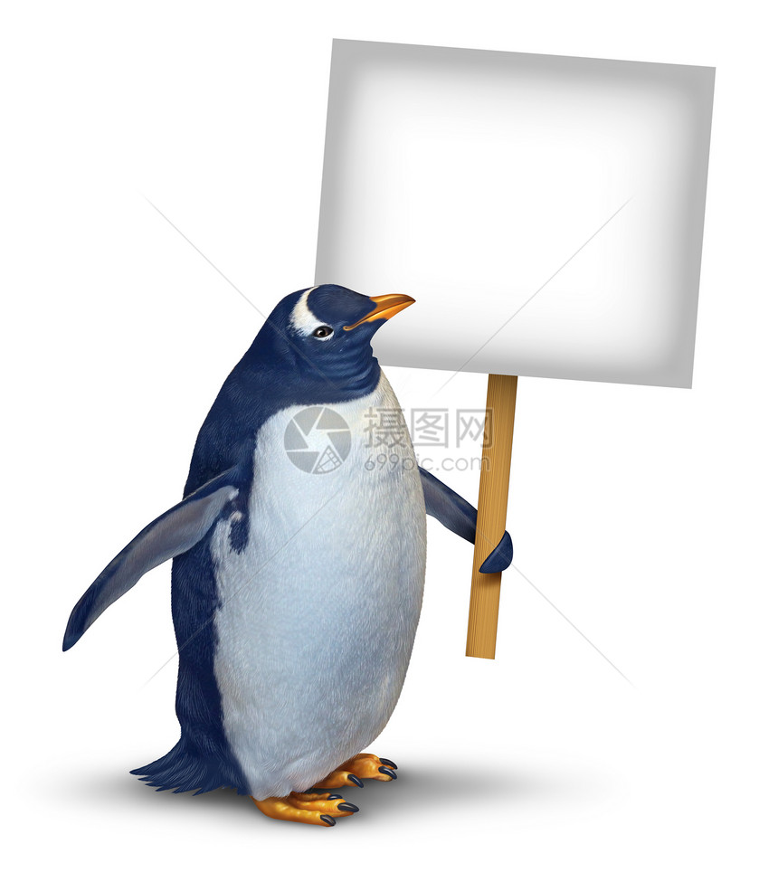 企鹅着个空白的卡片标志,只可爱的极地鸟,带着微笑的快乐表情,个白色背景上支持传达关于动物福利野生动物的信图片