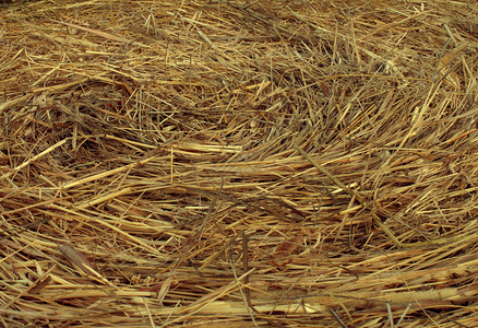 干草圆形纹理背景个角度的观点,圈干草个农业农场农业的象征,收获时间与干秸秆捆绑干草堆背景图片