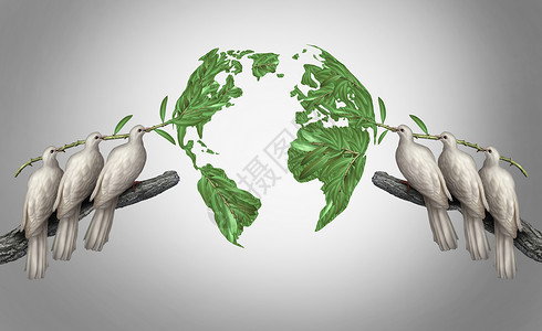 全球关系群白色平鸽,东方西方聚集橄榄枝,世界,间平谈判的象征图片