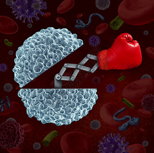 杰博拉免疫系统种开放的白细胞,拳击手套种保健隐喻,人体的自然防御来抗疾病感染背景