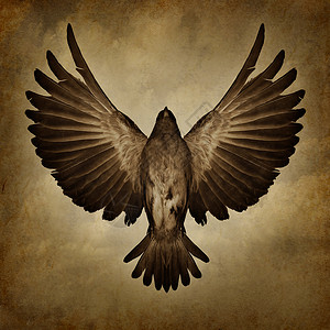 共就航天新时代自由的翅膀个粗糙的纹理背景上,个打破自由灵的信仰象征,就像只鸟,张开的羽毛向上飞翔,走向成功背景