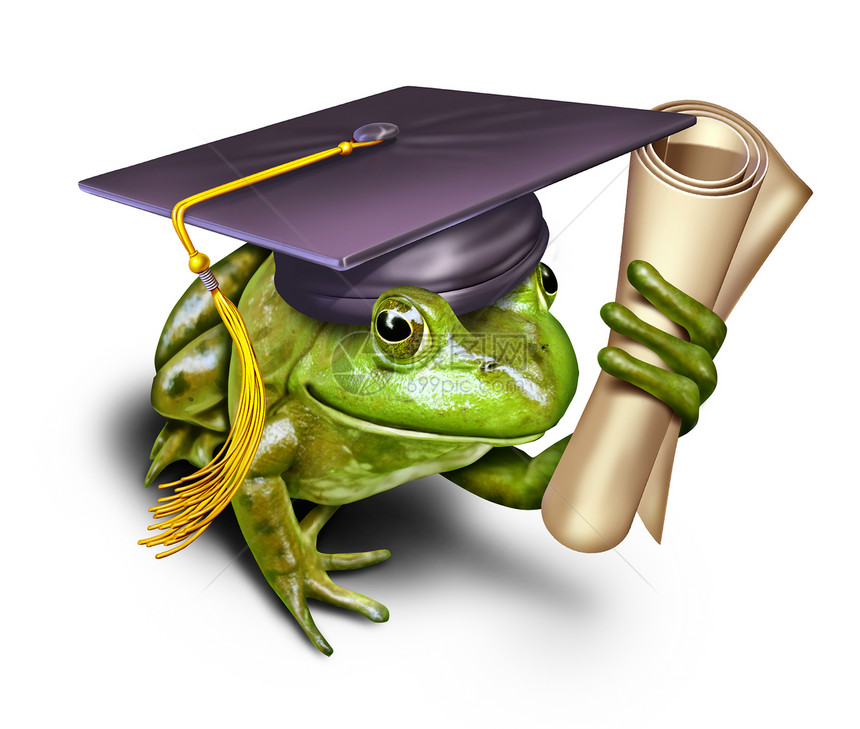 环境教育象征着个绿色的青蛙学生戴着毕业砂浆帽,着大学学校的文凭,比喻学保护尊重自然图片