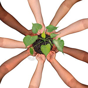 社区协作与合作理念社会众筹投资符号群同的手,以循环的形式来,培育棵成长中的树苗,因为人们聚集寻求成功背景图片