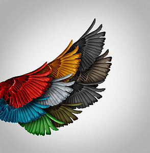 联盟共同工作的商业理念,个多样化的鸟类翅膀个整体,个巨大的强大的翅膀,合作成功员工支持的协同隐喻背景图片