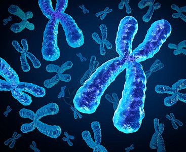染色体人类生物学x结构的,包含DNA遗传信息基因治疗微生物学遗传学研究的医学符号背景