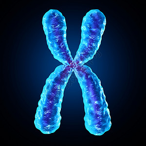 染色体人类生物学的x结构,包含DNA遗传信息基因治疗微生物学遗传学研究的医学符号背景