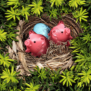 储蓄巢安全投资金融粉红色储蓄罐个鸟蛋个安全的树避难所财富退休基金的象征设计图片