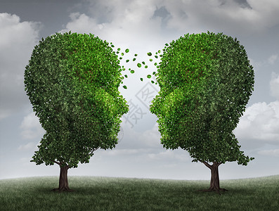沟通成长种断增长的伙伴关系队合作交流,商业中与两棵树以人的头的形状天空上进行交流,树叶张脸另张脸背景图片