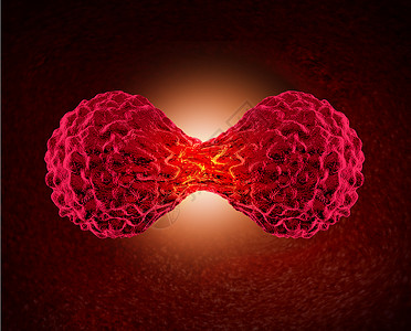 癌细胞分裂人体恶癌细胞分裂的微观细胞周期,危险肿瘤生长的医疗肿瘤学标志背景