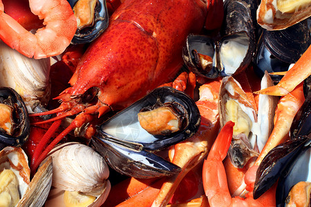 甲壳类海鲜贝类板块以新鲜龙虾蒸蛤贻贝虾蟹为海洋美食晚餐背景背景图片
