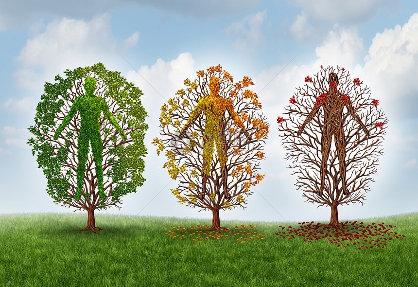 人类衰老的健康的恶化由于疾病身体中的棵健康的绿色树,它被塑造成个人改变叶子的颜色,失叶子种保健医学隐图片
