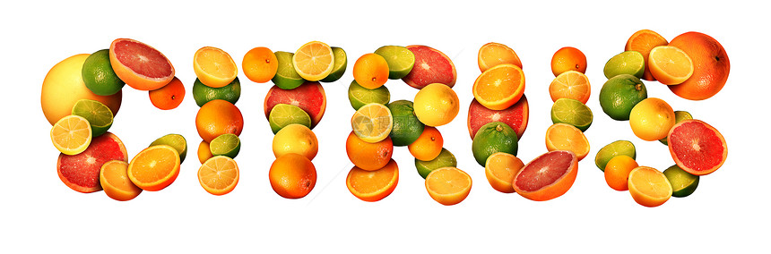 柑橘文本的水果,橘子柠檬橘子柚子健康饮食免疫系统增强的象征,白色背景下分离出天然维生素图片