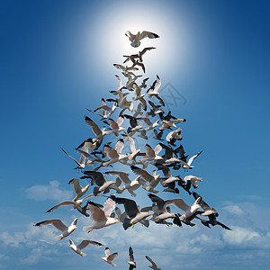 节日希望树精神群鸟,以协调的方式飞行,形状像诞树,顶部的鸟发光的太阳后,节日的比喻,冬天的庆祝趣的贺卡背景图片
