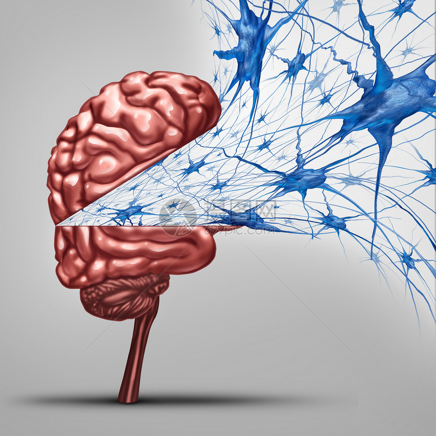 脑神经元人类智能医学符号,以活跃神经元群的开放思维器官为代表,群,细胞内活动,神经递质记忆认知健康图片