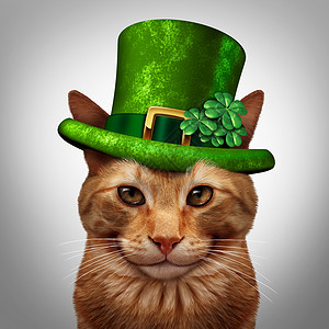 防治麻风日帕特里克节猫个趣的快乐微笑猫宠物戴着雷普川绿色帽子与三叶草四叶草装饰3月17日节日庆祝标志背景