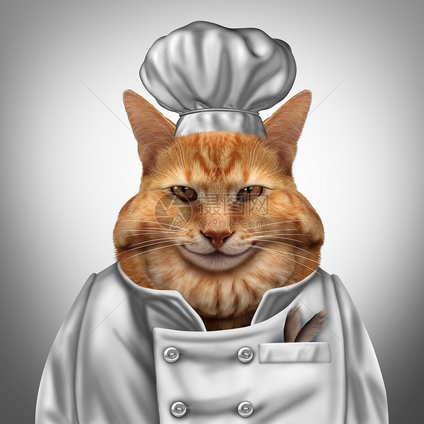 猫厨师幽默的,个胖猫穿着厨师制服,口袋里羽毛,兽医宠物营养符号与3D插图图片